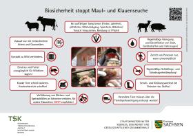 Hinweisschild zur Biosicherheit zur Verhinderung von Maul- und klauenseuche