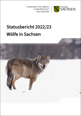 Statusbericht Wölfe in Sachsen 2022/23