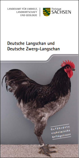 Deckblatt