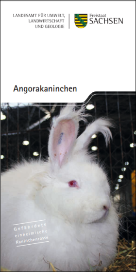 Angorakaninchen