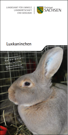 Luxkaninchen