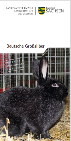 Deutsche Großsilber