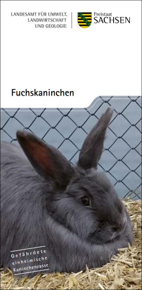 Vorschaubild zum Artikel Fuchskaninchen