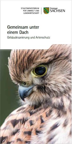 Vorschaubild zum Artikel Gemeinsam unter einem Dach