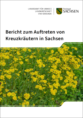 Vorschaubild zum Artikel Bericht zum Auftreten von  Kreuzkräutern in Sachsen