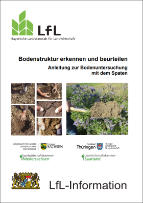 Bodenstruktur erkennen und beurteilen