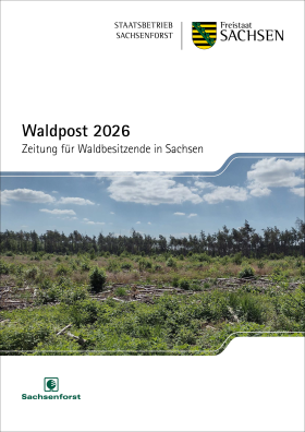 Vorschaubild zum Artikel Waldpost 2026
