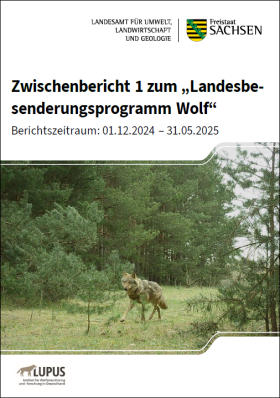 Vorschaubild zum Artikel Zwischenbericht 1 zum „Landesbesenderungsprogramm Wolf“