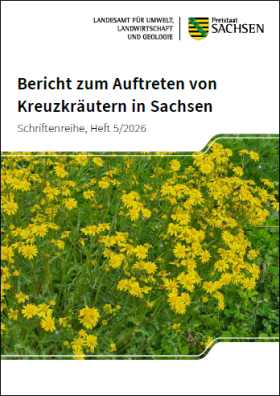Vorschaubild zum Artikel Bericht zum Auftreten von Kreuzkräutern in Sachsen