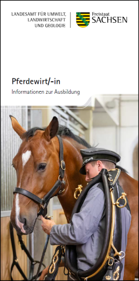 Vorschaubild zum Artikel Pferdewirt/-in