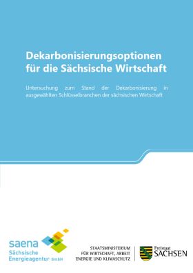 Vorschaubild zum Artikel Dekarbonisierungsoptionen  für die Sächsische Wirtschaft