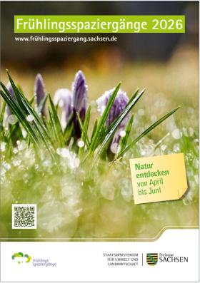 Vorschaubild zum Artikel Frühlingsspaziergänge 2026