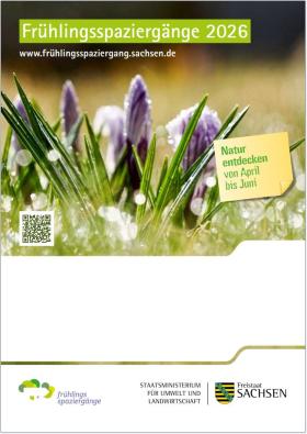 Vorschaubild zum Artikel Frühlingsspaziergänge 2026