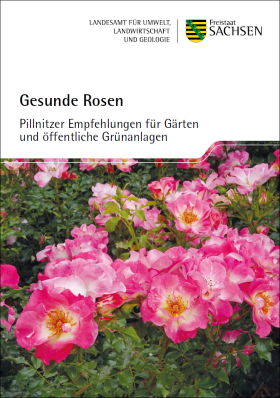 Gesunde Rosen