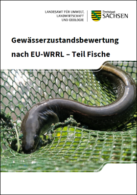 Vorschaubild zum Artikel Gewässerzustandsbewertung nach EU-WRRL – Teil Fische