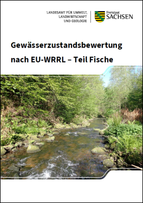Vorschaubild zum Artikel Gewässerzustandsbewertung nach EU-WRRL – Teil Fische