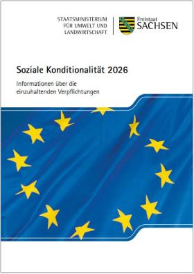 Vorschaubild zum Artikel Soziale Konditionalität 2026