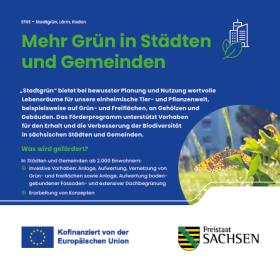 Vorschaubild zum Artikel Mehr Grün in Städten und Gemeinden