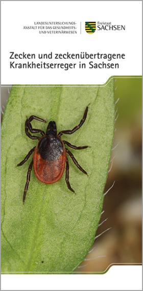 Vorschaubild zum Artikel Zecken und zeckenübertragene Krankheitserreger in Sachsen