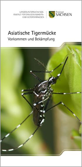 Vorschaubild zum Artikel Asiatische Tigermücke