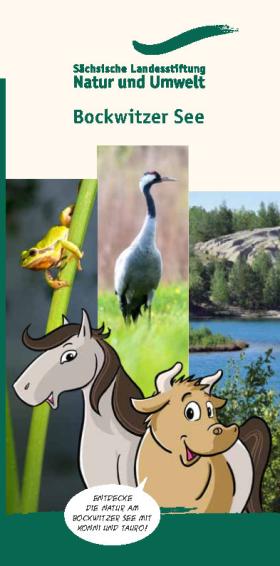 Vorschaubild zum Artikel Bockwitzer See