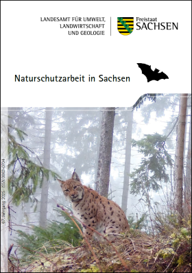 Naturschutzarbeit in Sachsen 2025
