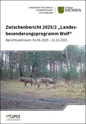 Vorschaubild zum Artikel Zwischenbericht 2025/2 „Landesbesenderungsprogramm Wolf“