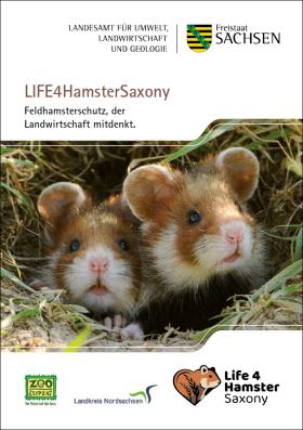 Vorschaubild zum Artikel LIFE4HamsterSaxony - Feldhamsterschutz, der Landwirtschaft mitdenkt