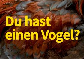 Vorschaubild zum Artikel Postkarte »Du hast einen Vogel?«