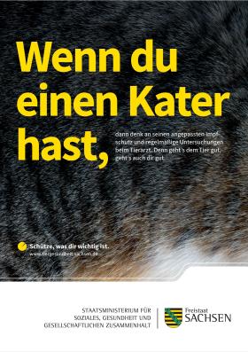 Vorschaubild zum Artikel Plakat »Wenn du einen Kater hast«