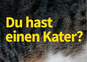 Postkarte »Du hast einen Kater«