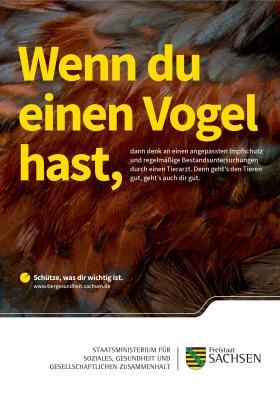 Vorschaubild zum Artikel Plakat »Wenn du einen Vogel hast«