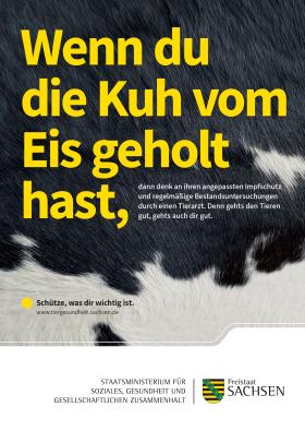Vorschaubild zum Artikel Plakat »Wenn du die Kuh vom Eis geholt hast«