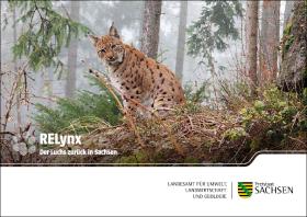 Vorschaubild zum Artikel Postkartenserie Der Luchs zurück in Sachsen - RELynx