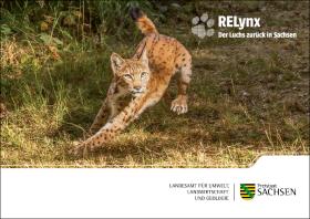 Postkarte Der Luchs zurück in Sachsen: RELynx 2 von 5