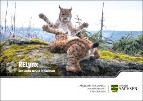 Postkarte Der Luchs zurück in Sachsen: RELynx 4 von 5