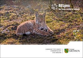 Postkarte Der Luchs zurück in Sachsen: RELynx 5 von 5