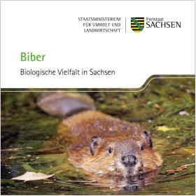 Titel Pixiheft Biber