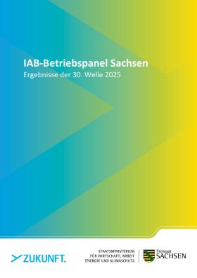Cover IAB Betriebspanel Langfassung