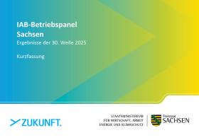 Cover IAB Betriebspanel Kurzfassung