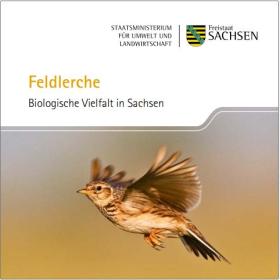 Titel Pixiheft Feldlerche