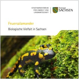 Titel Pixiheft Feuersalamander