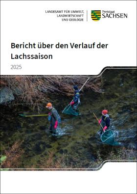Vorschaubild zum Artikel Bericht über den Verlauf der Lachssaison 2025